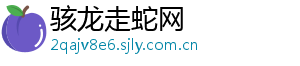 骇龙走蛇网